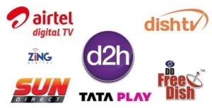 DTH business in India