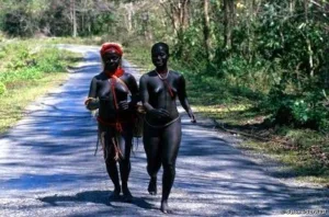 The reality of mystery of last stone age tribe of north sentinel island