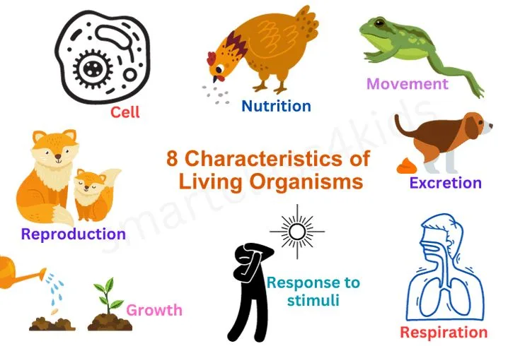 Biology class 10 chapter 1 life process notes pdf free download