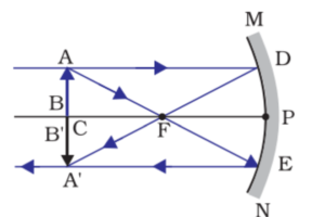 Light reflection and refraction class 10 physics complete and short notes fully explained