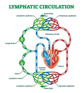 Biology class 10 chapter 1 life process notes pdf free download