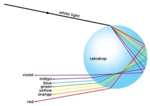 Human eye and colourful world important questions